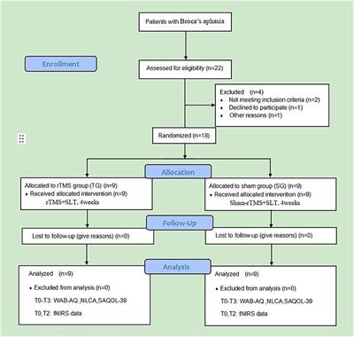 Effects of low-frequency rTMS combined with speech and language therapy on Broca’s aphasia in subacute stroke patients